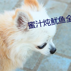 蜜汁炖鱿鱼全部番外