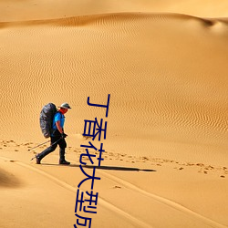 丁香花大型成(chéng)人社区