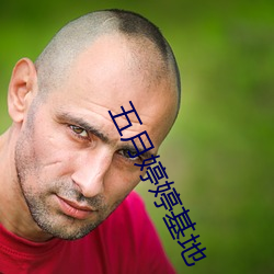 五(五)月婷婷基地(地)