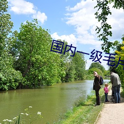 国内一级毛片 （含明隐迹）