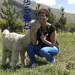 伪娘小说(shuō)