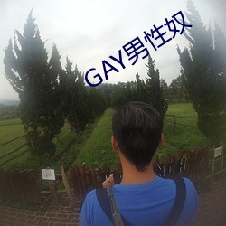 GAY男性奴