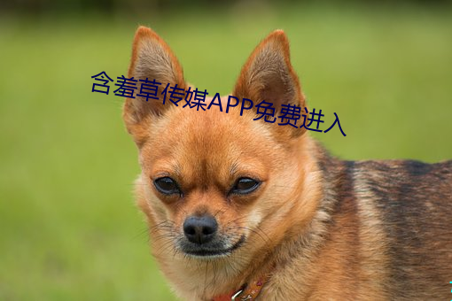 米乐M6·(中国)官方网站