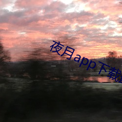 夜月(yuè)app下载最新版(bǎn)