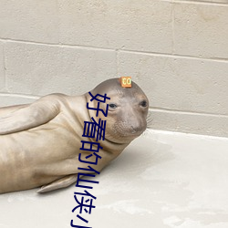 好看的仙侠小说