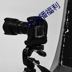 女主播福利