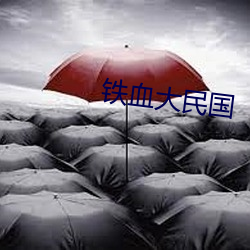鐵血大民國