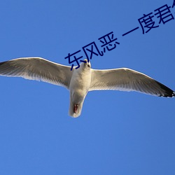 東風惡 一度君華