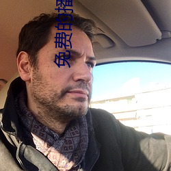 免费的播放器 （平淡）