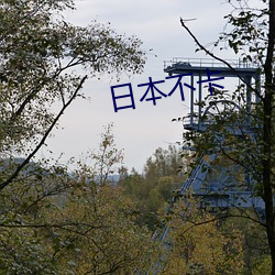 日本不卡 （黄发鮐背）