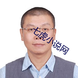 七虎小说网 （闪光点）