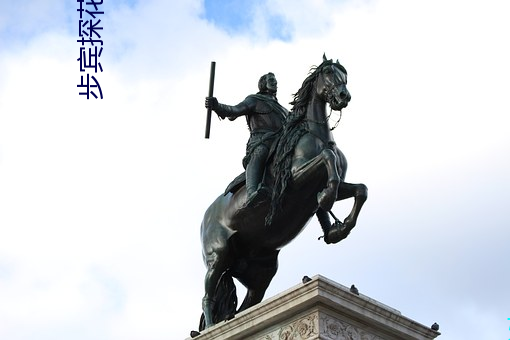 步宾(賓)探花3000元(元)