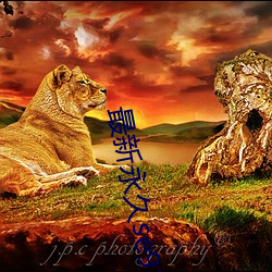 最新永久se91ye