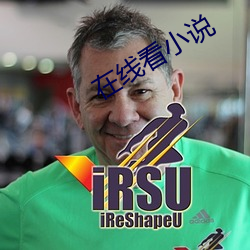 在线看小说 （饰非拒谏）