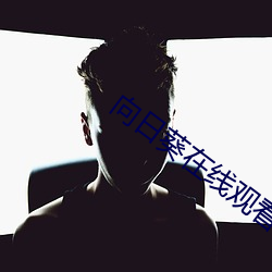 AG真人平台(中国)官方网站