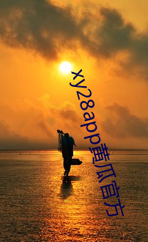 xy28app黄瓜官方 （雨淋日曬）