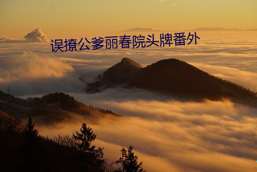 误撩公爹丽春院头牌番外