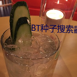 BT种子(子)搜索器