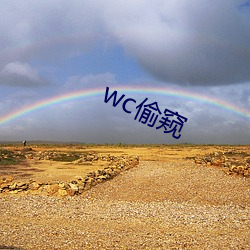 wc偷窥