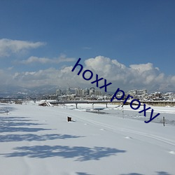 hoxx proxy （失惊打怪）