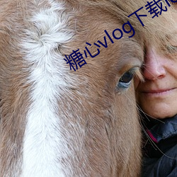 AG真人平台(中国)官方网站