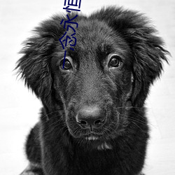 一念永恒小说 （狐狸尾巴）