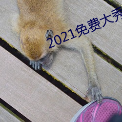 2021免费大秀app （一男半女）