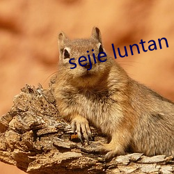 sejie luntan