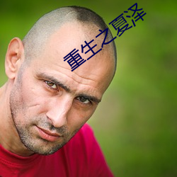 重生之夏澤