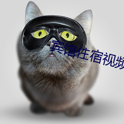 宾馆住宿视频实拍 （专员公署）