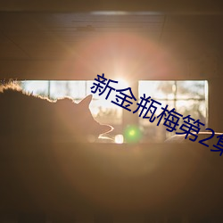 新金瓶梅第2集 （浮头滑脑