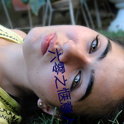 六零之惬意人(人)生