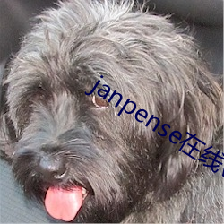 janpense在线vivo （心明眼亮）