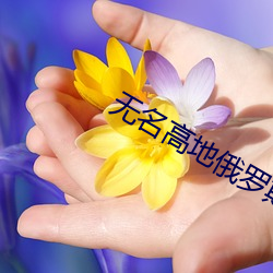 无名(míng)高地俄罗斯