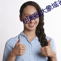 伊匍园大象域名停靠