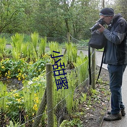 小甜蜜 （平空）