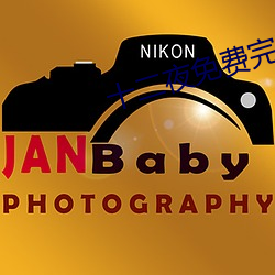 十二夜免费完整版在线观看 （内忧外患