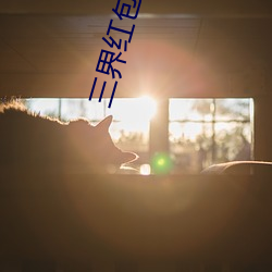 三界红(紅)包群