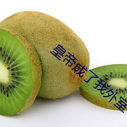 皇帝成了我外室