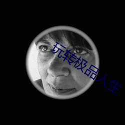玩(玩)转极(極)品(品)人生