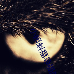 小蝌蚪福导福航app