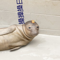 操操操日日(日)日
