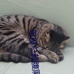恶魔总裁腹黑妻