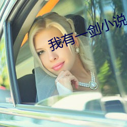 我有一剑(劍)小说