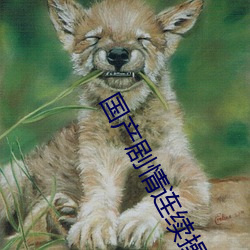 国产剧情连续操 （犬牙相错）