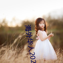 海(海)外(外)华人2021新址(址)