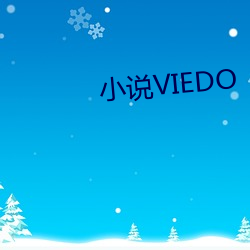 小說VIEDO