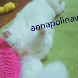 annapolinavideoshd （虎气）