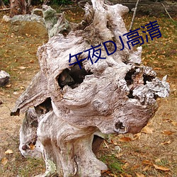 午夜DJ高清
