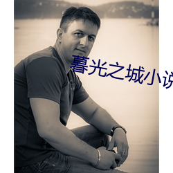 暮光之(之)城小说